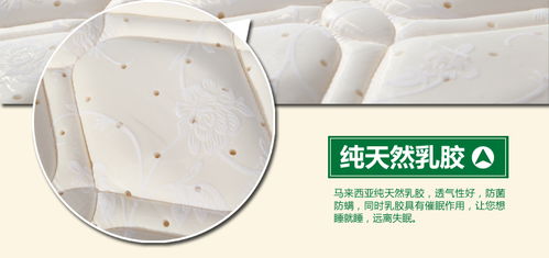 柏健千穗乳膠床墊天然乳膠高密度海棉墊子母薄墊學(xué)生床褥學(xué)生墊價(jià)格,圖片,參數(shù) 家具臥室家具床墊 北京房天下家居裝修網(wǎng)